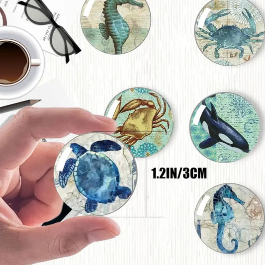 12Pcs Marine Animal Strong Glass Refrigerator Magnets - Funny Cute Small Fridge Magnets with Gift Box for Kitchen Whiteboard Door Decor