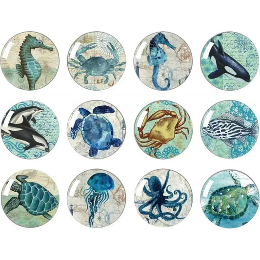 12Pcs Marine Animal Strong Glass Refrigerator Magnets - Funny Cute Small Fridge Magnets with Gift Box for Kitchen Whiteboard Door Decor