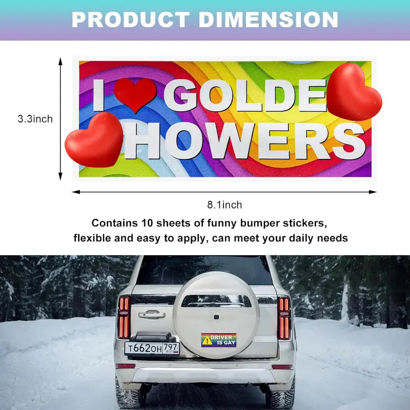 10Pcs Pride Theme Waterproof Vinyl Rectangle Magnetic Fridge Magnets - 3.3 inches x 8.1 inches UV-Resistant PVC Decor, Fits Fridges Lockers Toolboxes, Home Supplies Prank Gift for Office Whiteboard