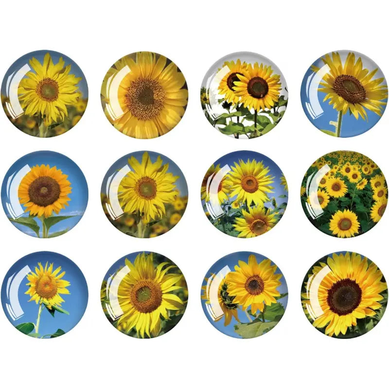12Pcs Marine Animal Strong Glass Refrigerator Magnets - Funny Cute Small Fridge Magnets with Gift Box for Kitchen Whiteboard Door Decor